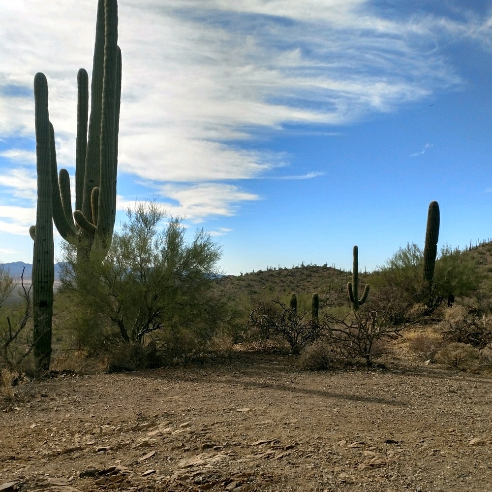 Meet your Posher, Emylee